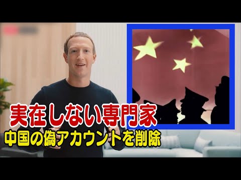 FacebookとTwitter 中国の偽アカウントを削除＝実在しないスイス人専門家