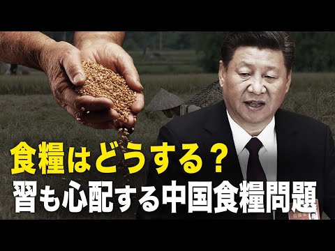 【新聞看點】食糧はどうする？習近平も心配する中国食糧問題
