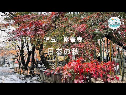 晩秋のいにしへの地に訪れし