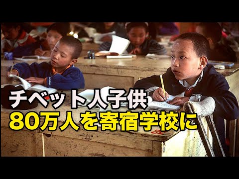 「チベット人子供の８割を寄宿学校に」チベット伝統文化との剥離政策