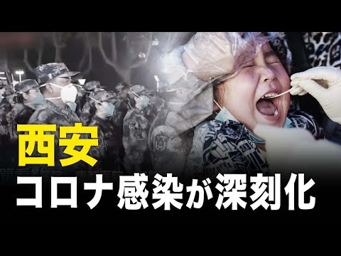 【新聞看点】西安、コロナ感染が深刻化【動画】