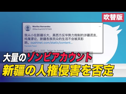 〈吹替版〉ゾンビアカウントを利用して人権侵害を否定