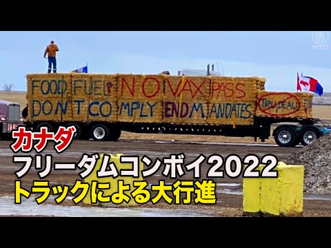 「権利の侵食にノー」 カナダでトラックによる大行進 Freedom Convoy 2022