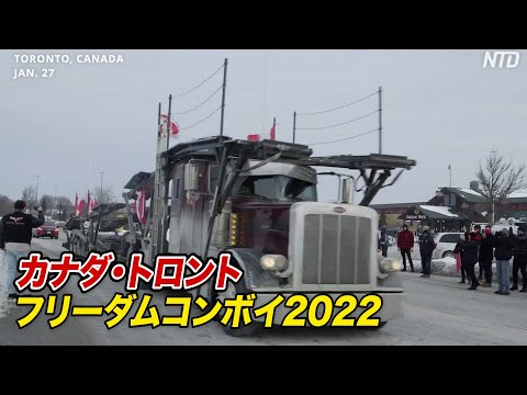 フリーダムコンボイ2022@カナダ・トロント→オタワ その後DCへ. Massive Truck Convoy Heading to Washington After Ottawa