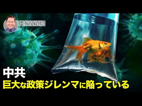 【冗談じゃない】ワクチンは重症化や死亡率を下げるが、感染は防げないという大きなジレンマを北京にもたらした。中国の集団免疫を実現するには