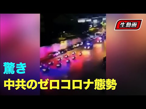 【生動画】パトカー大量出動、厳戒態勢｜隔離所を急設