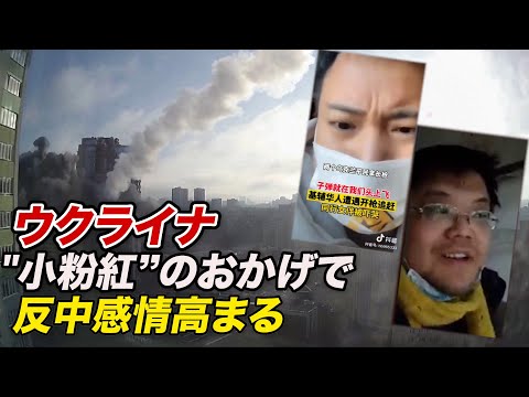 ウクライナ在住中国人「我々に生きる機会を」