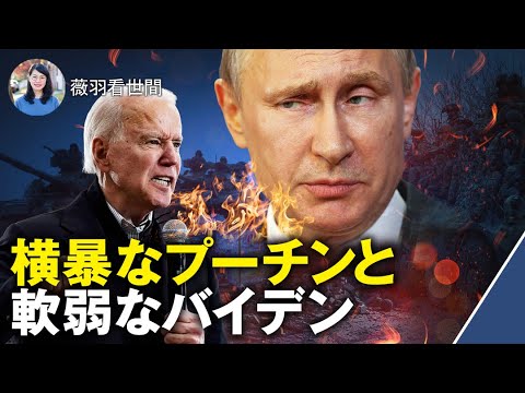 プーチンは狂気の沙汰か?制裁を恐れない強気の理由は?ウクライナの責任は誰が取る ?中共はどちらの味方か?