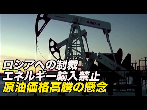 ロシア産エネルギーの輸入禁止 原油価格高騰の懸念