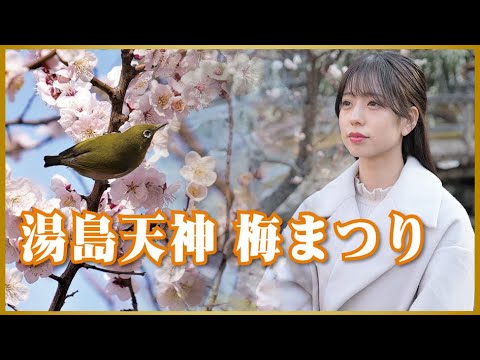 湯島天神 梅まつり2022