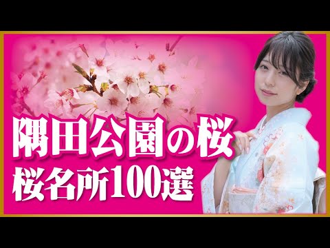 さくら名所100選、隅田公園の桜 2022