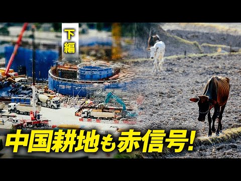 【中国の赤信号】耕作放棄地の拡大がますます深刻化　18億ムーの耕地と警告線は本質的な問題を抱えている