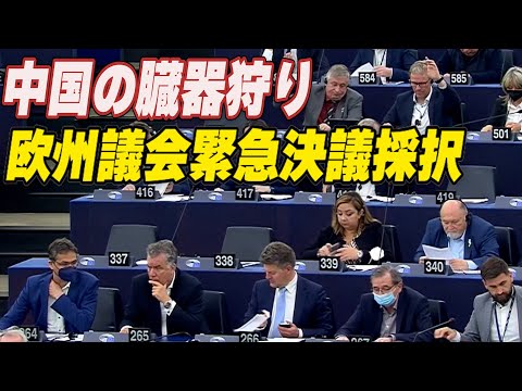中国の臓器狩り 欧州議会が緊急決議案採択