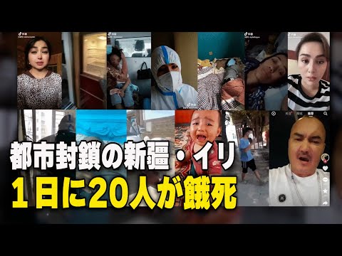 【ダイジェスト版】都市封鎖続く新疆 １日に22人死亡 ほとんどが餓死