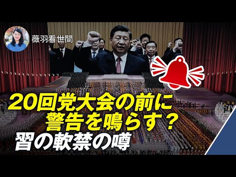 【薇羽が世間を看る】中南海クーデターの真偽は？中央委員会が軍事を担当？ ロシアの友好国は、中共ではない