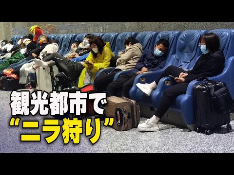 【ダイジェスト版】第20回党大会前夜 観光都市で「ニラ狩り」