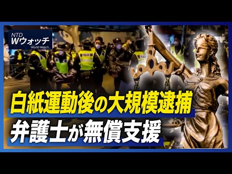 【ダイジェスト版】白紙運動後の大規模逮捕 弁護士が無償支援/カタールW杯 ファン殺到で ラクダも「残業」 など | NTD ワールドウォッチ【動画】