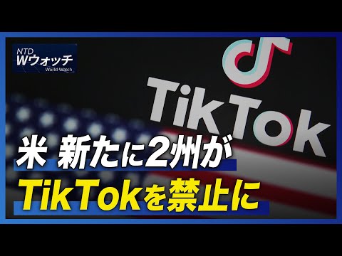【ダイジェスト版】米 新たに2州がTikTokを禁止に/中国の半導体 世界最悪の売上減 など | NTD ワールドウォッチ（2023年1月16日）