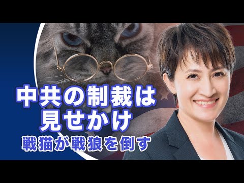 中共の制裁は見せかけ 戦猫が戦狼を倒す【世界の十字路】│ TEASER