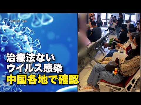 【ダイジェスト版】治療法ないウイルス感染　中国各地で確認