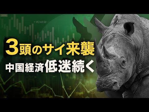 中国経済低迷続く、3頭のサイ来襲【秦鵬觀察】 |  TEASER