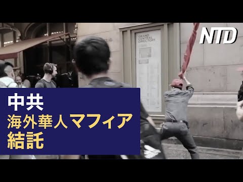 【ダイジェスト版】中共が海外華人マフィアと結託「命知らずの輩同盟」/米財務長官、中国との協力模索 関税調整は時期尚早 など | NTD ワールドウォッチ