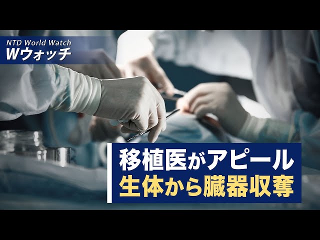 【ダイジェスト版】移植医が業績をアピール　生きている人間から臓器収奪/悪化する中国経済　閑散とした北京　中年の失業危機 など | NTD ワールドウォッチ