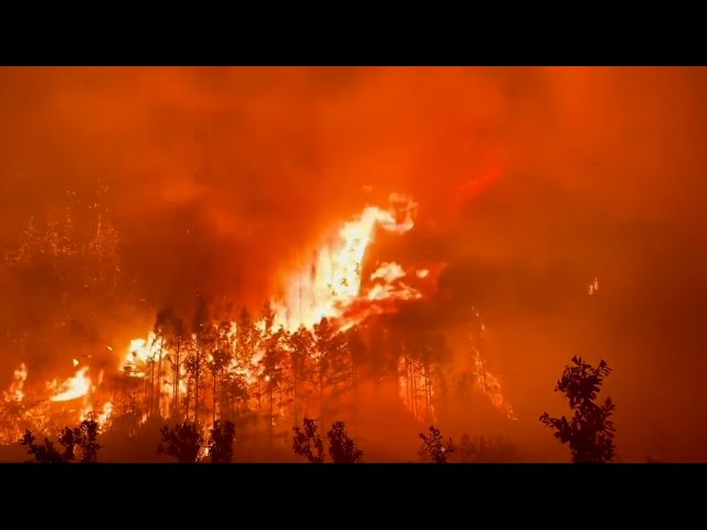 【報道】中国・貴州省で巨大火災発生中、省の半分が焼き尽くされている。悲痛な光景が広がってい