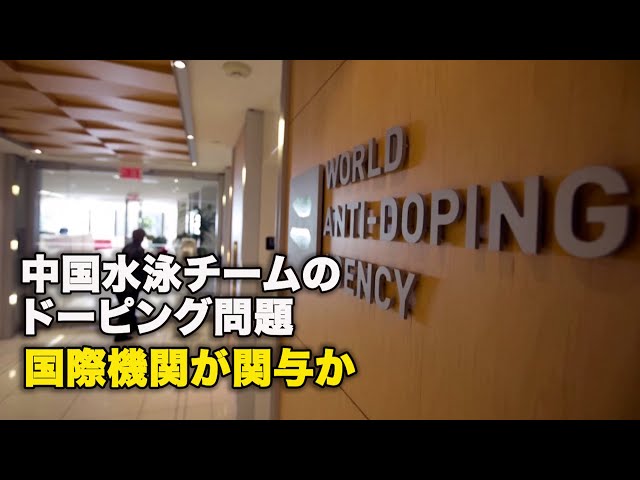 中国水泳チームのドーピング問題　国際機関が関与か