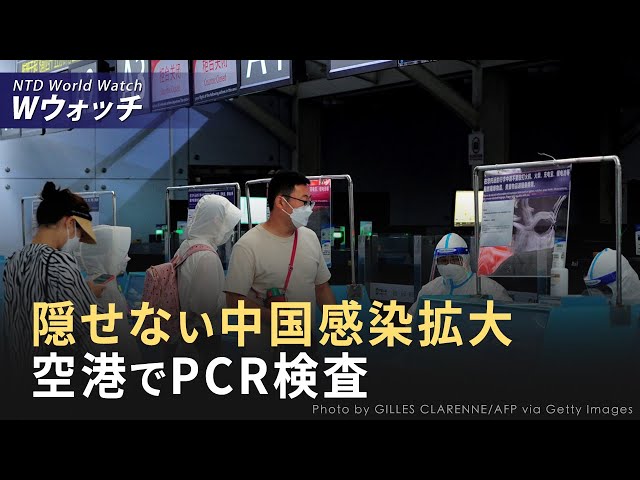 【ダイジェスト版】中共、感染症対策を強化　空港でPCR検査を導入 / 中共が1700億ドルの金準備を増やした理由は など | NTD ワールドウォッチ