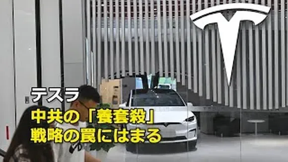 テスラ 中共の「養套殺」戦略の罠にはまる