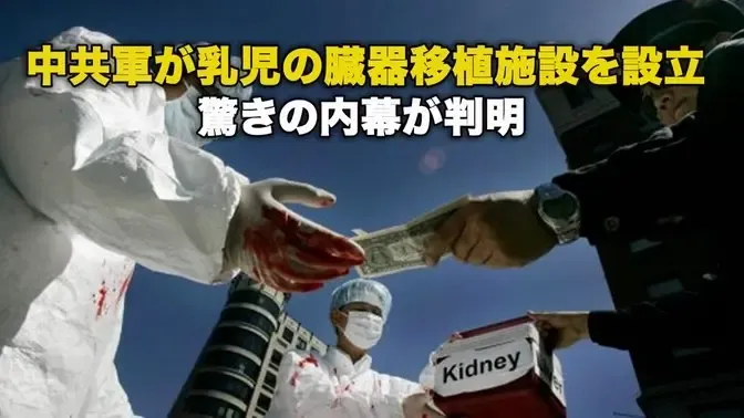 中共軍が乳児の臓器移植施設を設立 驚きの内幕が判明