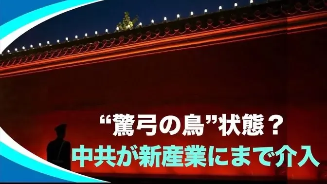 【新視点ニュース】政権の不安が露呈、中共の監視網、配達員にまで拡大 体制維持に躍起か #時事フォーカス 