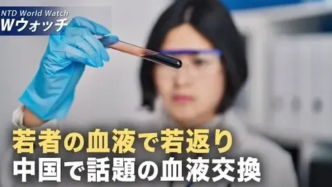 「若者の血液による若返り治療」中共が地下血液バンク構築か/ 米「アンティファ」関連4団体を「外国テロ組織」指定 など｜NTD ワールドウォッチ