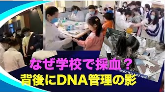 普通の採血ではない？“DNA・臓器データ庫”の疑いが再燃